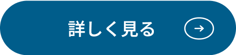 詳しく見る